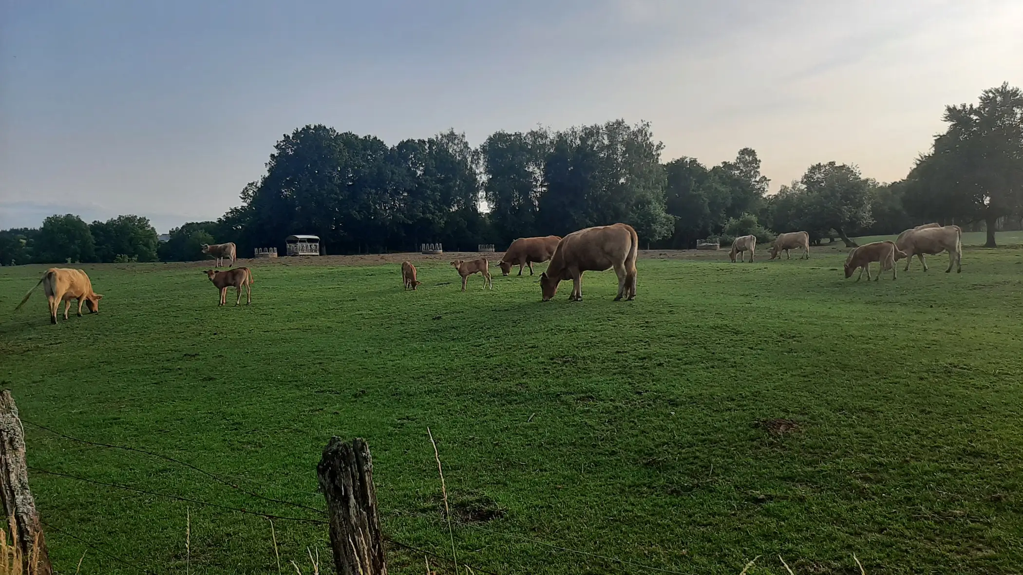 Cottage for 4 people in Saint-Léger Ma Tiny Gaumaise